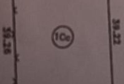 Mă vinde chiar și parcelat - 3