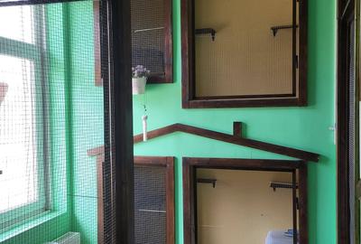 Casa Zona Drumul Taberei, 13 Septembrie,  Palatul Cotroceni - 3