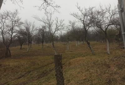 Spațiu comercial, în Fedeleșoiu - 2