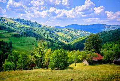 CASA TRADITIONALA, ANEXE si 46.980 mp teren partial INTRAVILAN BULZ - BIHOR - 42