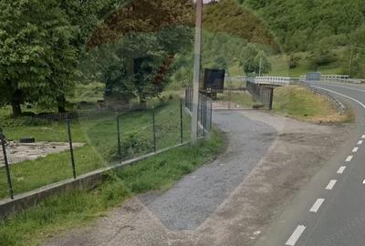 Teren de 12095 mp, în Avram Iancu (Vârfurile) - 3