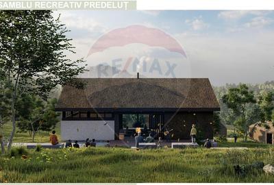 Teren Construcții intravilan de 24253 mp, în Predeluț - 10