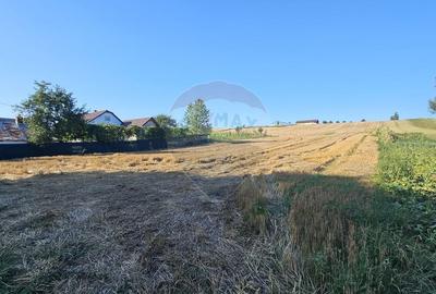 Teren Construcții intravilan de 7500 mp, în Moara Carp - 5