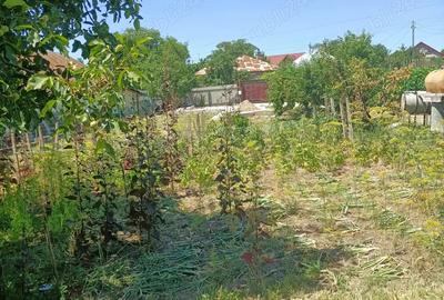 Vand casa si teren in HUSI - 3