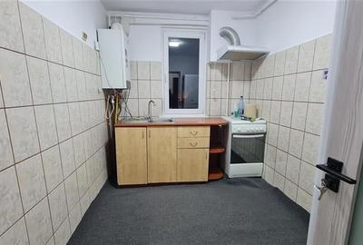 Spatiu pentru birouri Brazda Lui Novac Spatiu pentru birouri Brazda Lui Novac - 3