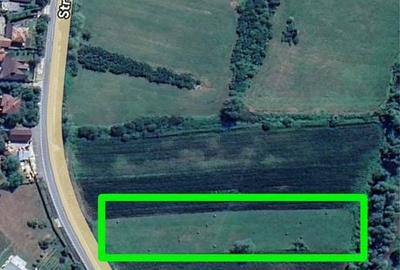 Teren de 6000 mp, în Bizușa-Băi - 5