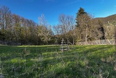Teren de 2500 mp, în Valea Doftanei - 8