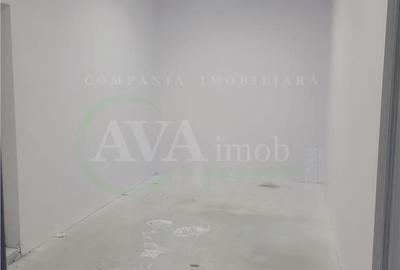 Spațiu comercial, de 370 mp, în Nicolae Bălcescu - 13