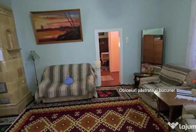 Casă cu 6 camere cu Teren 12500 Mp în Sasca Mică - 10