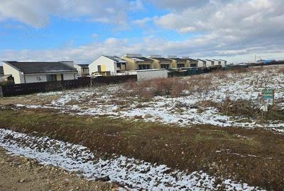 Vand 1HA teren intrav ptr case zona Balcescu langa cartierul RIVIERA, utilitati, sosea - 10