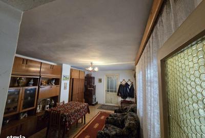 Casă cu 5 camere cu Teren 238 Mp în Traian - 13