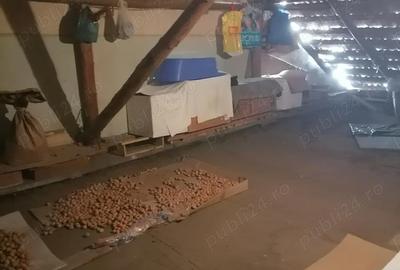 Apartament cu 2 camere decomandat în Mărăței