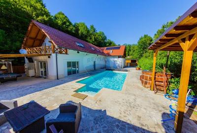 Casa de vis in Loc. Intrerauri - 1