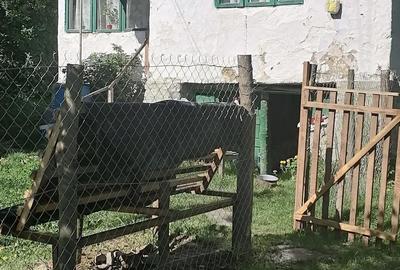 Teren de 1500 mp, în Provița de Sus - 2
