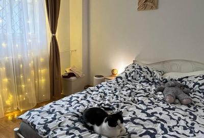 Apartament de 2 camere ( Complet Renovat )-Titulescu-Victoriei - 3