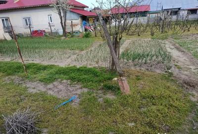 Casă cu 5 camere cu Teren 8481 Mp în Soreni - 1