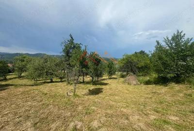 Teren 2037 mp, 17 ml deschidere, utilitati in zona, vedere panoramica - 5