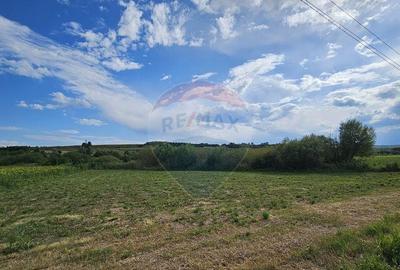Teren extravilan 12000 mp- Padureni-?endriceni, Boto?ani - 1