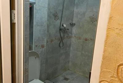 Apartament cu 2 camere de vanzare zona Giurgiului - 3