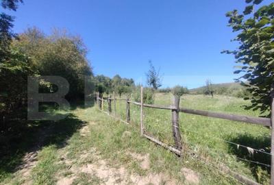 Teren extravilan 73 ari + cabana+lac de pesti,zona Slatinita - 3