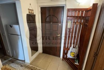 Apartament cu 2 camere decomandat în Podu Roș - 11