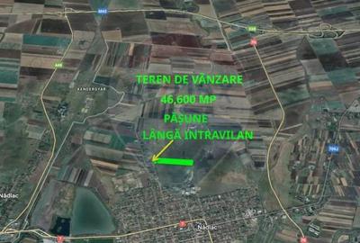 Teren cu poten?ial de vanzare 46,600mp langa intravilan, in Nadlac - 1