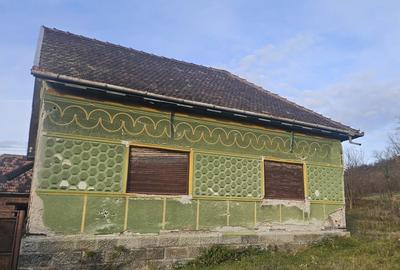 Casa de vanzare la ?ara - 3