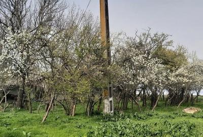 Teren în Văleni - 6