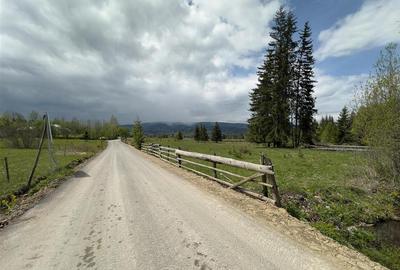 Teren Construcții intravilan de 6000 mp, în Șaru Dornei - 14