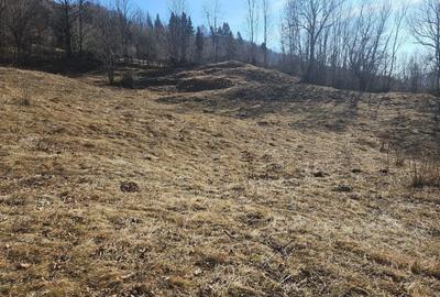 Spațiu comercial, în Secăria - 4