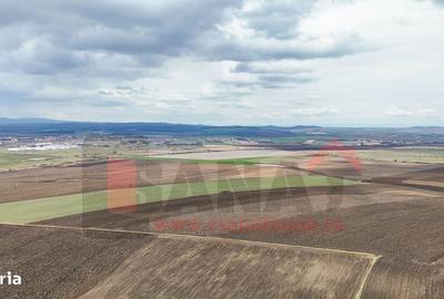 Spațiu comercial, în Șura Mică - 6