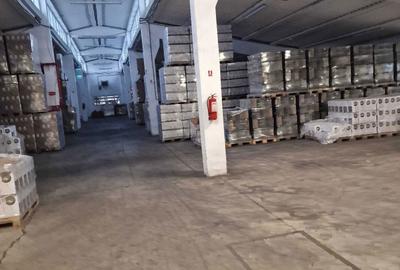 Spațiu comercial, de 2,700 mp, în Mănărade - 4