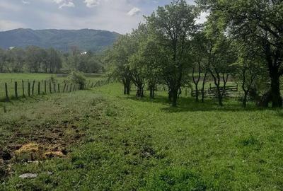 Casă cu 4 camere în Toaca - 3
