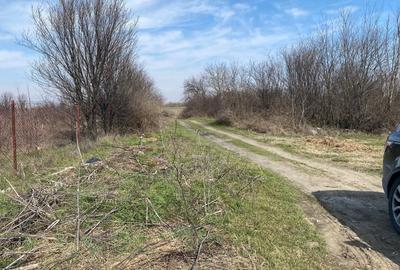 TEREN DE VANZARE-  -Plparcele de la  550 mp  zona Mega Image -Bolintin Vale - A1 - 6