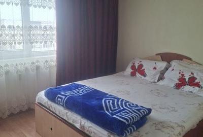 Apartament cu 2 camere decomandat în Malu Roșu - 5