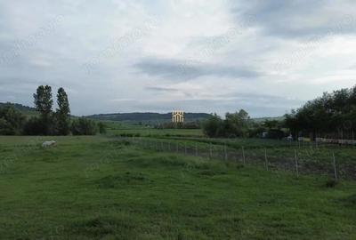 Teren de 3953 mp, în Fălticeni - 7