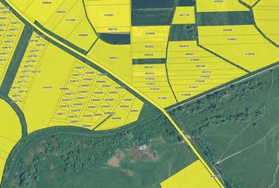 Teren agricol extravilan de 2700 mp, în Albina - 3