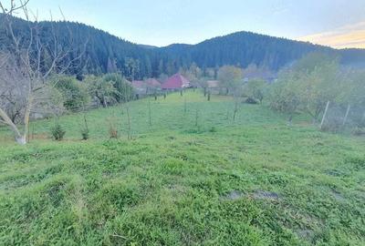 Casă cu Teren 2600 Mp în Crăcăoani - 2