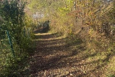 Teren langa pădure 6400mp-casa demolabile-deschidere 35 ml - 14