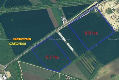 Terenuri de vanzare – iesirea din Remetea Mare spre Autostrada - 2