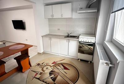 Apartament cu 1 camera, cu LOC DE PARCARE, zona Valea Lupului - 3