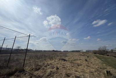 Teren Construcții intravilan de 2900 mp, în Șcheia - 3