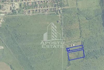 Teren de 10388 mp, în Est - 5