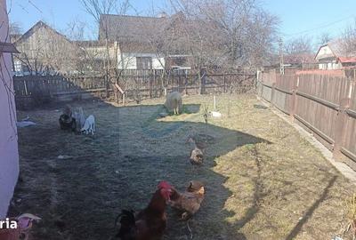 Casă cu 3 camere cu Teren 620 Mp în Coșna - 1