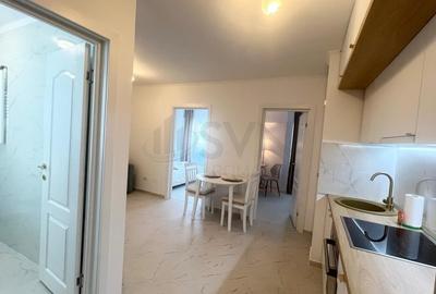 Apartament cu 3 camere semidecomandat, mobilat în Tineretului - 2