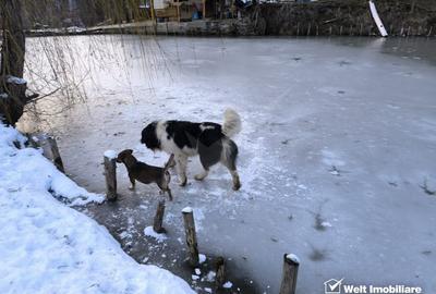 Casa de vacanta, cu lac, 5640 mp teren, Huta, com. Chiuiesti, jud. Cluj Casa de vacanta, cu lac, 5640 mp teren, Huta, com. Chiuiesti, jud. Cluj - 53