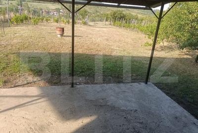 Casa constructie noua suprafata de 70 mp si un teren de 7000 mp - 6