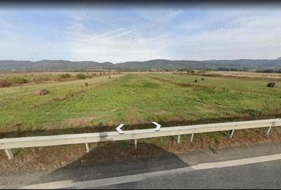 Teren de 25000 mp, în Baia de Criș - 1