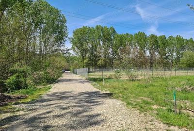 Teren de 5300 mp, în Agrement Ostroveni
