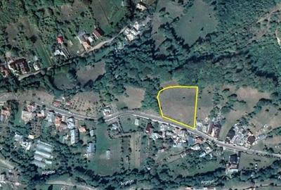 Namaesti - Valea Mare Pravat, 7000 mp. teren intravilan cu pozitie excelenta - 1